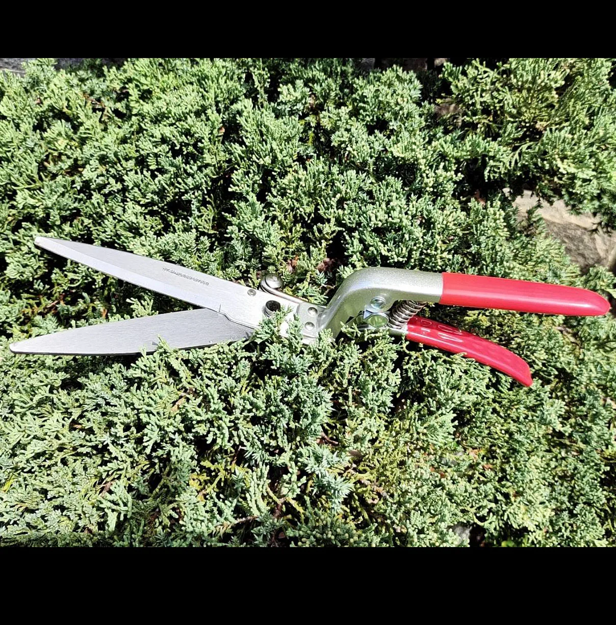Comfortable Non-slip handle Bypass hedge shears lawn garden pruning shears large scissor