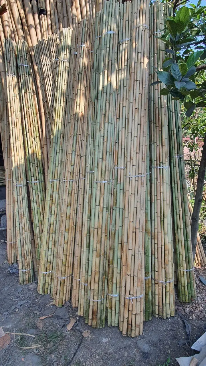 High Quality 100% Natural Rolled Bamboo Screen Fencing Garden Buildings From Vietnam Ready To Export In Bulk