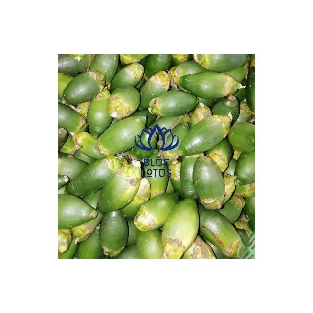 Замороженный зеленый орех Areca