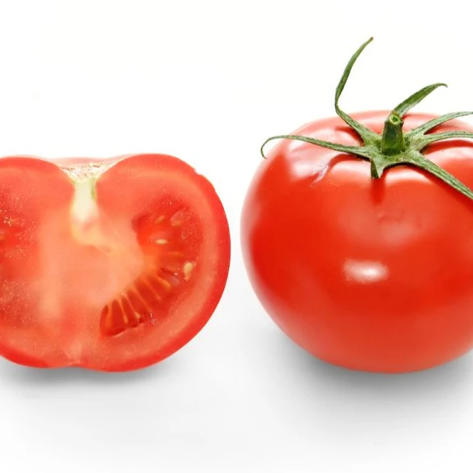 TOMATO2.jpg