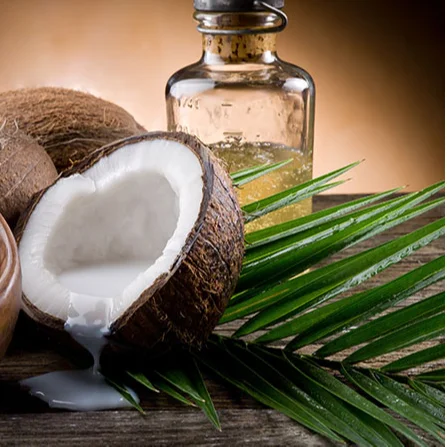 Wholesale Manufactured 100% Pure Cold Press Organic Extra Virgin Coconut Oil