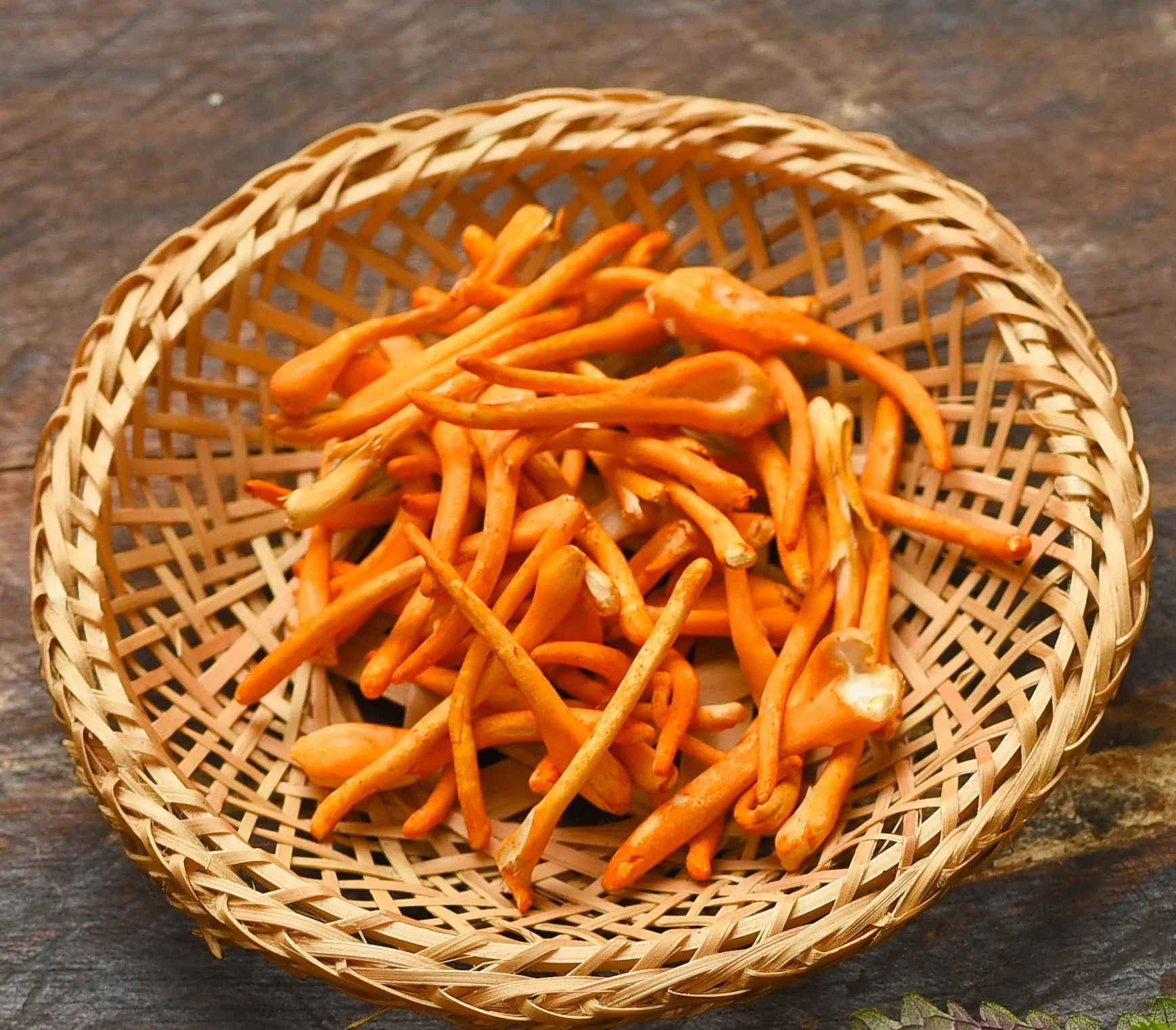 Cordyceps Militaris Dried Hot Deal Fungus Cordyceps For Food ISO 22000 2018 Customized Packaging Made In Vietnam Manufacturer