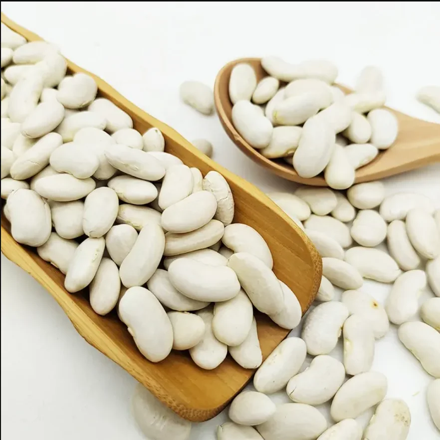 whole sale High Quality Red Kidney Beans 2023 Crops Year