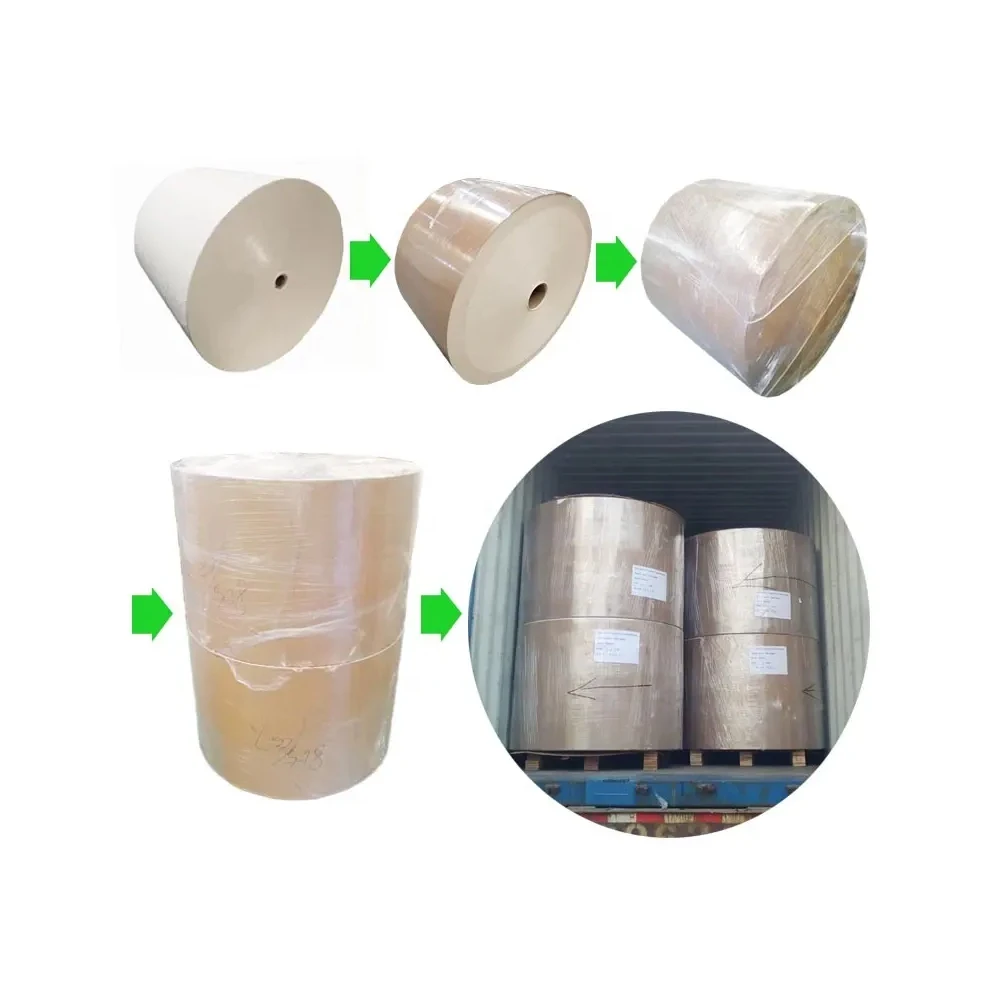 Factory Price Best Quality PE Coated Paper Jumbo Rolls for Making Paper Cups From Indian Manufacture