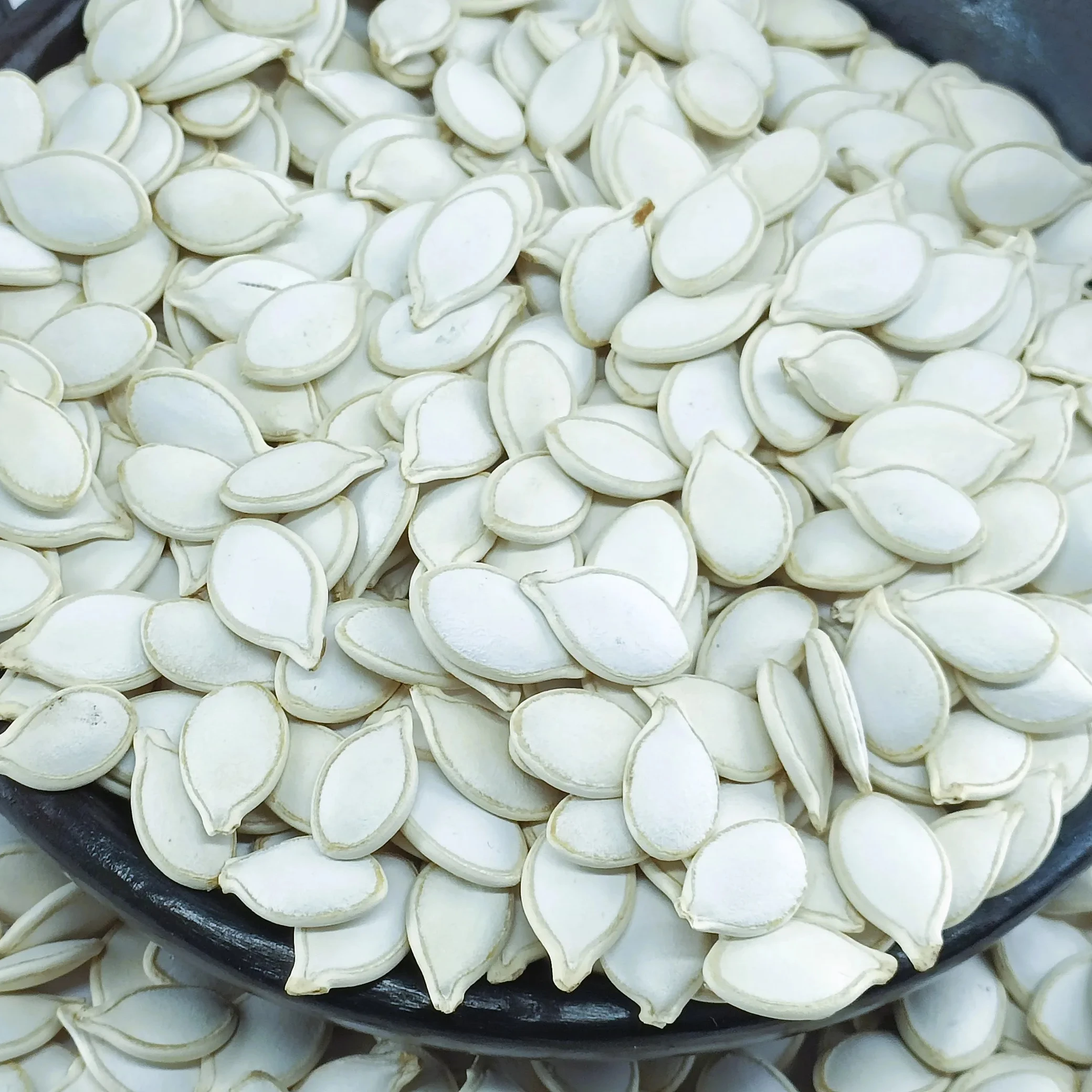 Bulk Quantity Available Premium Quality Ethiopian White Pumpkin Seeds, Low Moisture, Handpicked & Polished Export Standard
