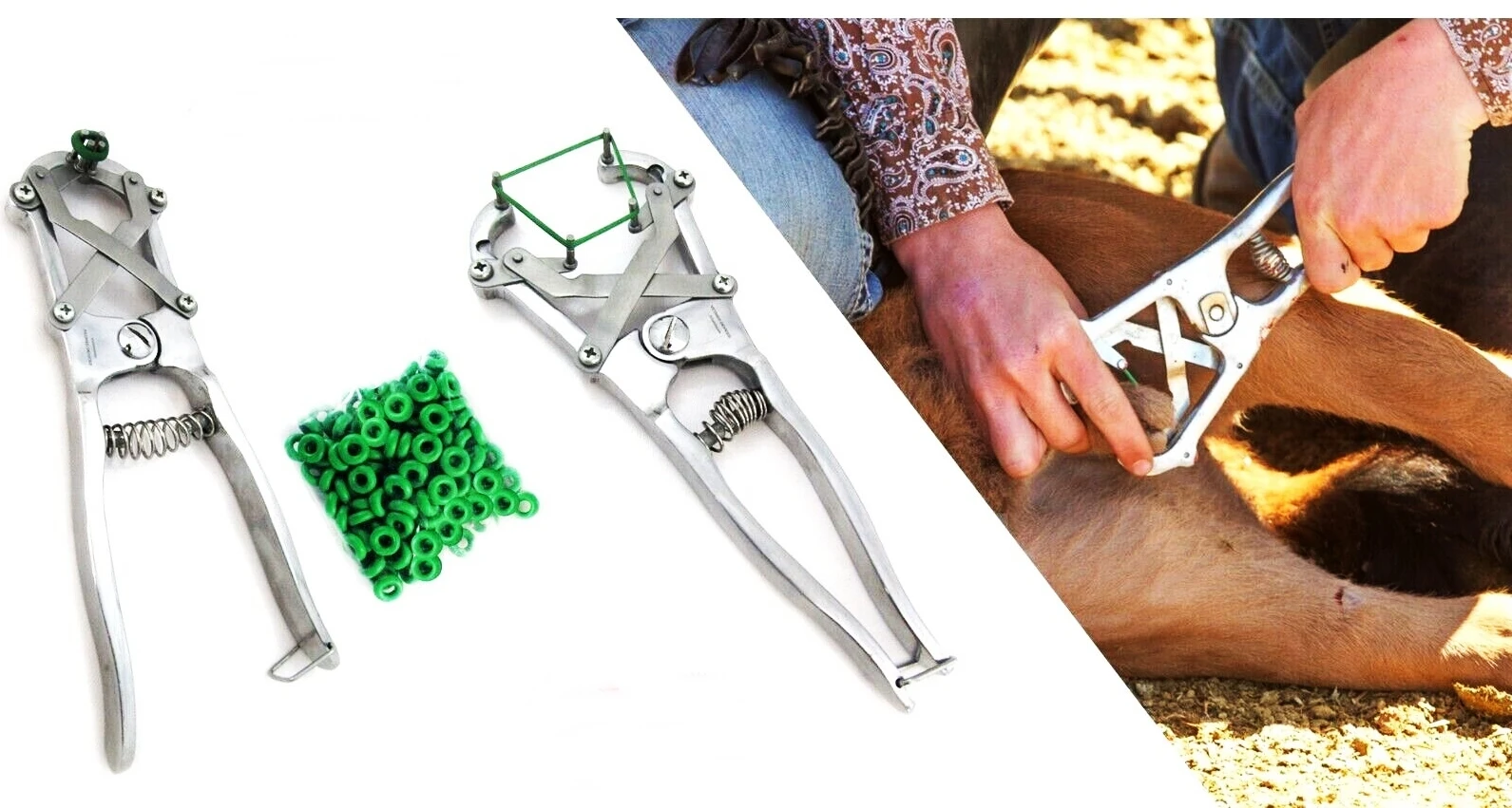 Band Castrator Aluminum Manufacturer and Wholesaler CE ISO certified Veterinary Instruments