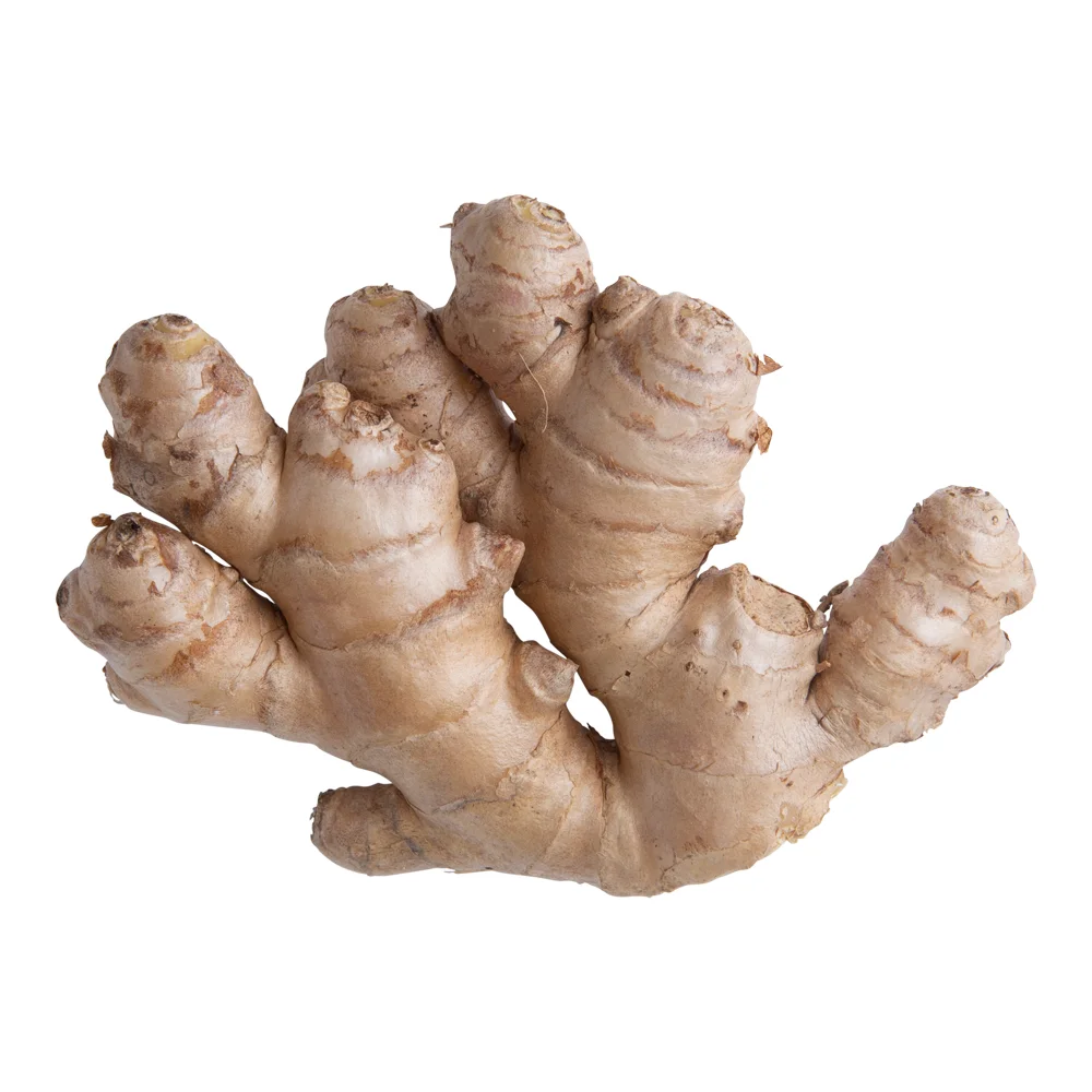 Ginger Price In /Fresh Ginger Supplier/Manufacturer/Exporter cheapest price