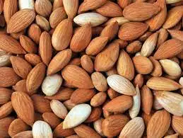 Quality Apricot Kernels/ Blanched Almond/ Almond Kernels