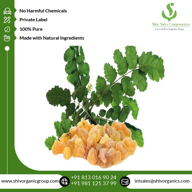 Highest Quality Wholesale Supply Pure and Natural Therapeutic Grade Boswellia Serrata Herbal Extract from Indian Exporter