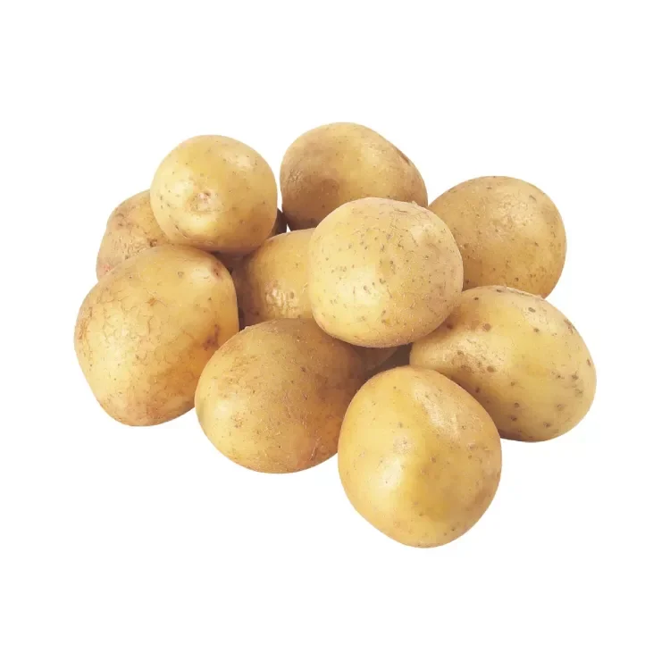 Fresh Potatoes 100% High Quality Export Oriented Low Price For Wholesale Price Fresh Potato From Bangladesh