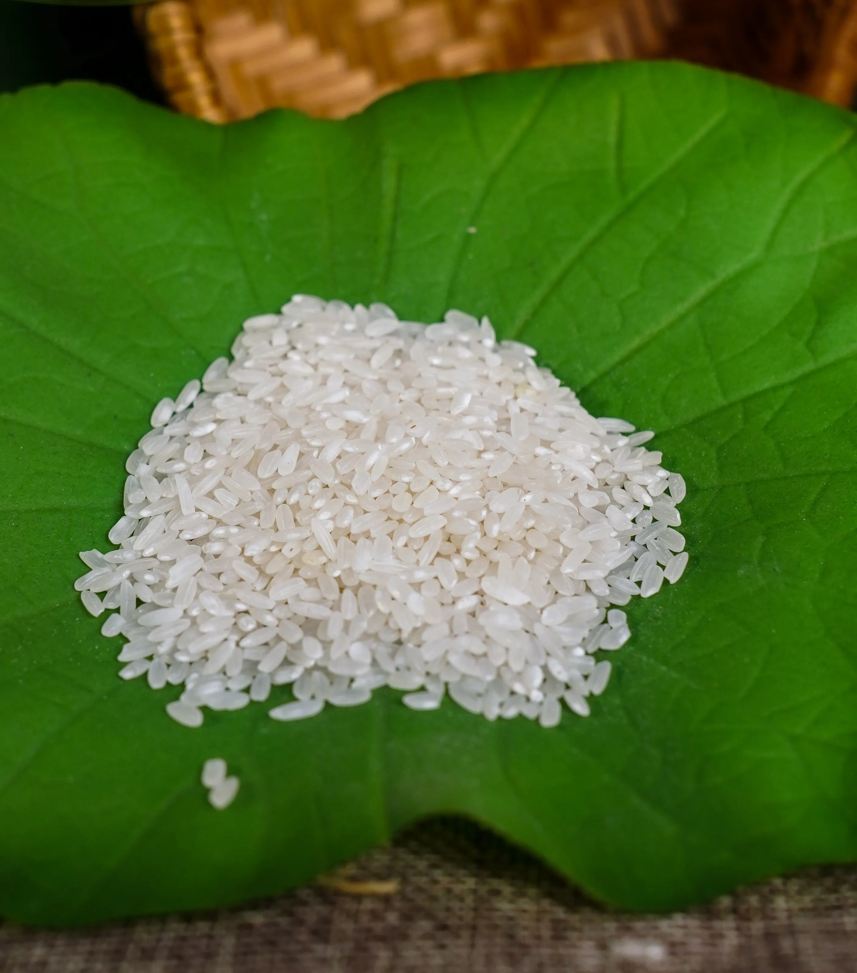 High-Quality Short Rice - Medium Grain, 100% Pure Silky Sortex Clean From Vietnam, Vietnamese Rice