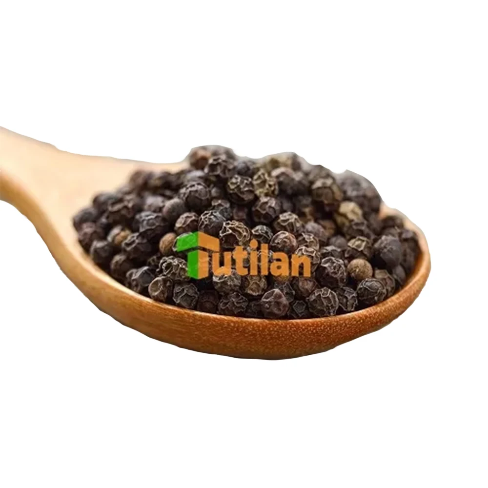 BEST SALE FROM FACTORY FOR LOWEST PRICE AND HIGH QUALITY NEW CROP DRY BLACK PEPPER