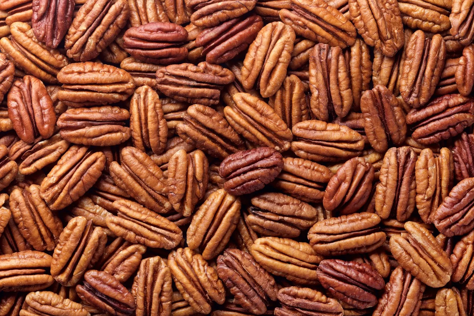 High Quality Pecan Nuts Wholesale