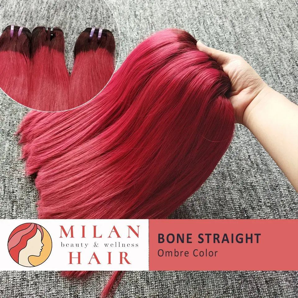 Vietnamese Hair Raw Virgin Cuticle Aligned Hair Free Sample 100% Virgin Vietnamese Human Hair Bundles