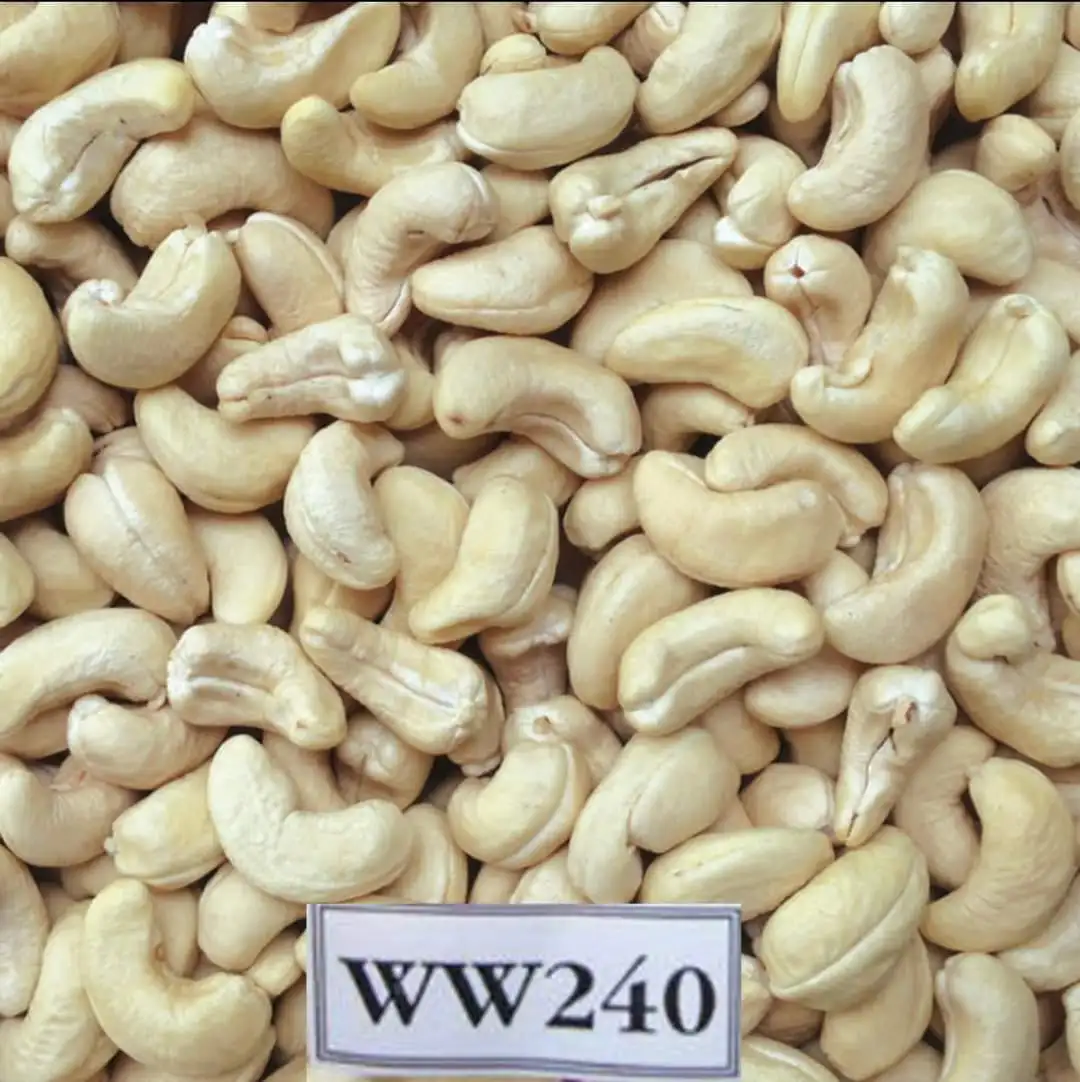 Competitive Price Provide Protein VietNam Factory Whosale White Cashew Nuts W320 W240 W180 High Quality Dried Nuts Kernel