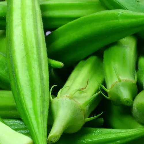 Fresh okra For Sale