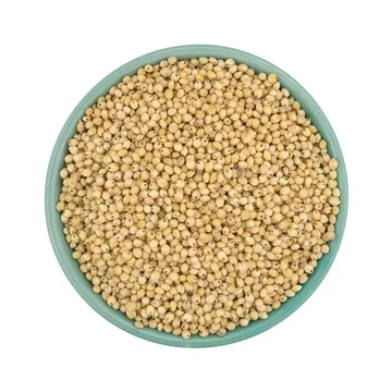 Best Quality Pure Whole Sorghum Grains For Sale At Cheapest Wholesale Price