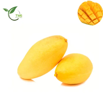 Premium Grade Sweet And Crunchy Yellow Mango For Export From TW 6 Vietnam