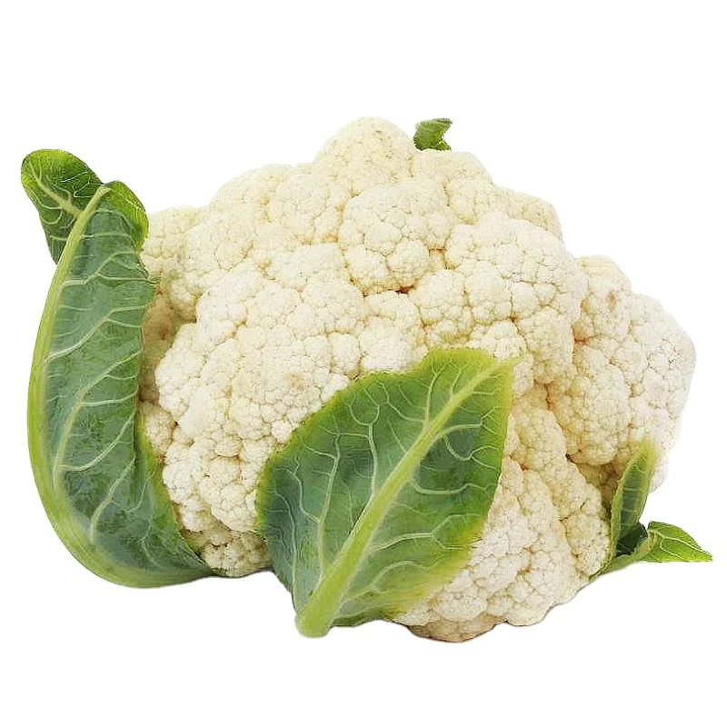 %100 Natural High Quality Fresh Cauliflower Common Wholesale High Quality No Frozen Fresh Vegetable Cauliflower