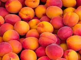 peaches fruit Fresh Peaches