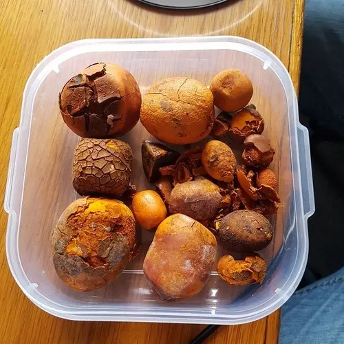 100% натуральные высококачественные желчные камни Ox для крупного рогатого скота