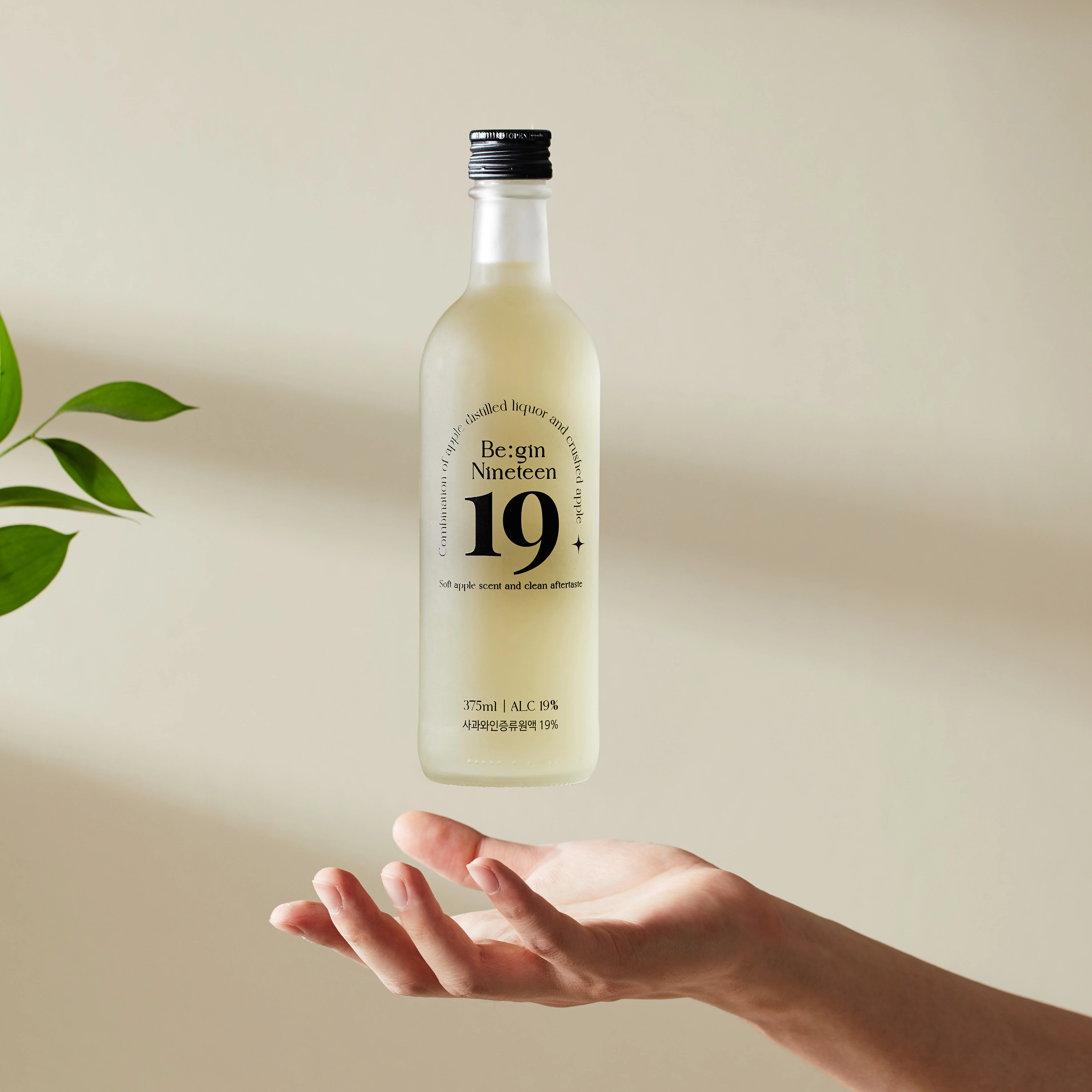 Begin 19 The Korean distilled liquor apple based apple wine based liquor 19% Korean prime drink