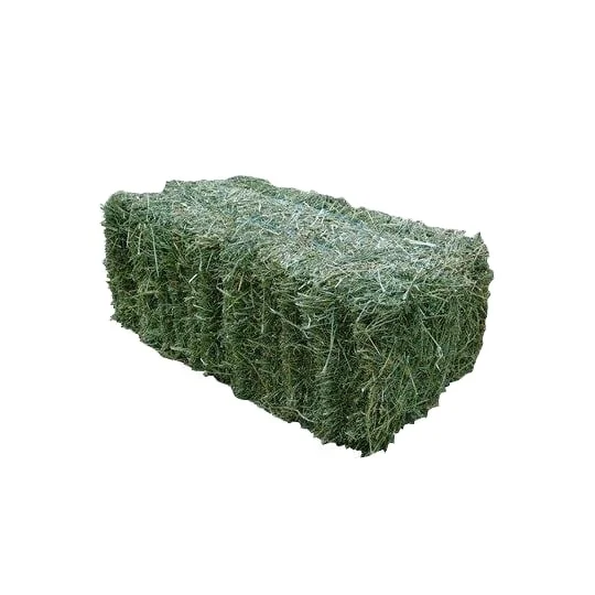 High Quality Dried Alfalfa Hay Feed Fresh Protein-rich Animal and Cattle Feed in Bales Available for Wholesale Purchase