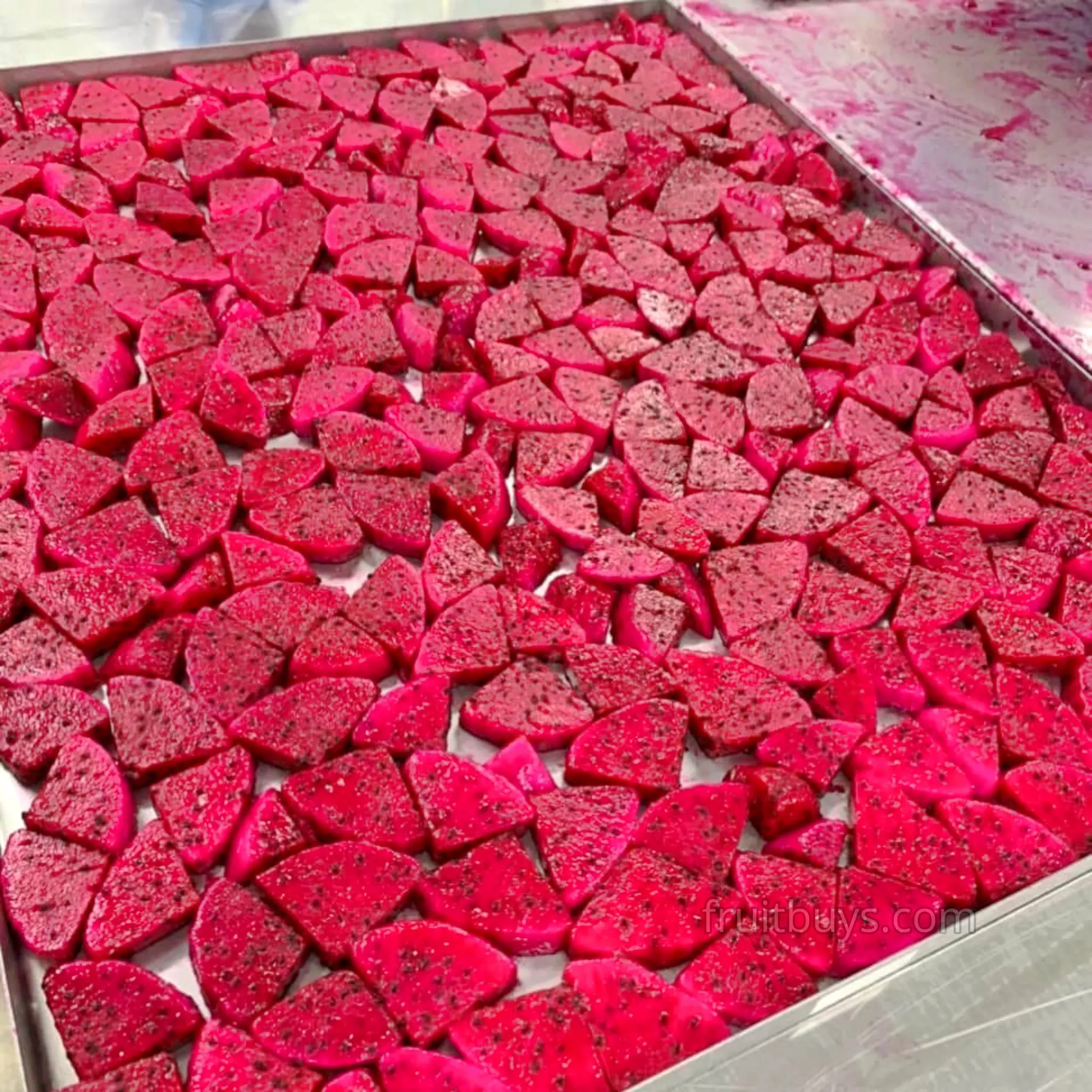 Dry Fruit & Vegetable Snacks Bulk Freeze Dried Fruit Dragon Fruit Wholesale Price NO Need MOQ Healthy Food Snack