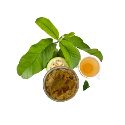DRIED GUAVA LEAF TEA HELPS TO BEAUTIFUL SKIN/RELAX YOUR MIND