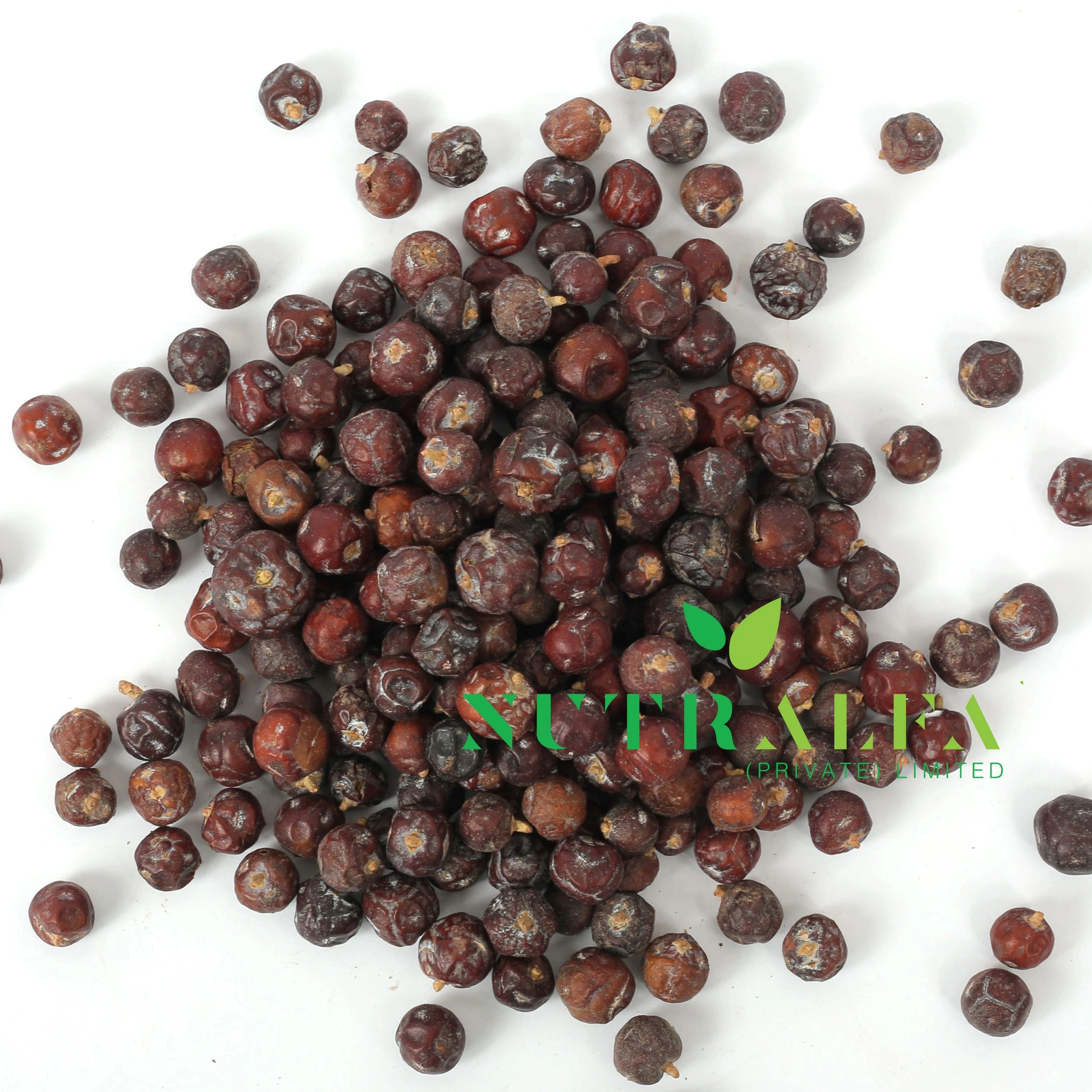 Сушеные ягоды можжевельника из Пакистана Bayas de Enebro оптом