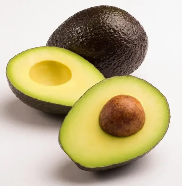 Trusted professional partner Fresh Avocado For Export With The Best Price Standard High avocado fresh avocados