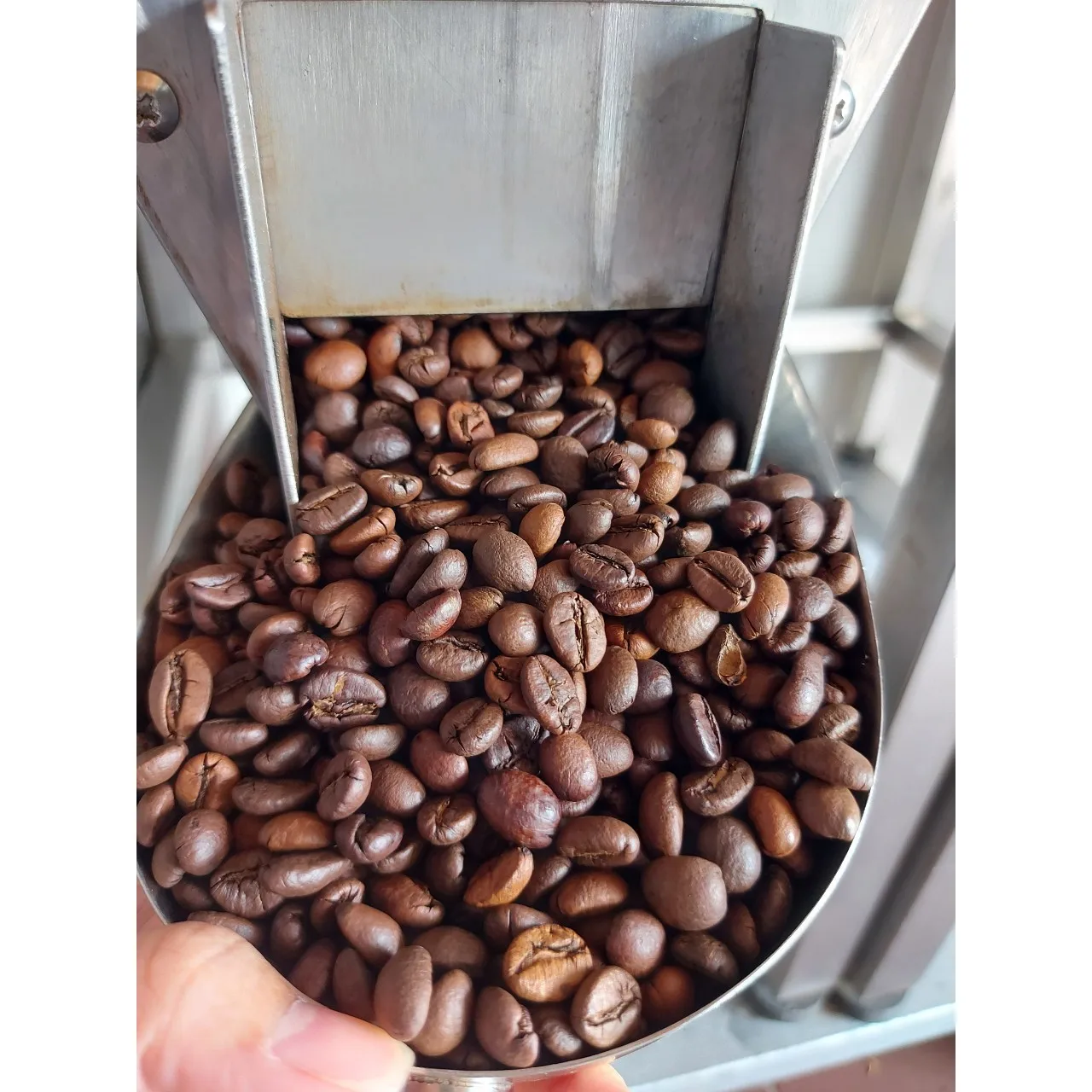 High Quality Robusta S18 Roasted Carpentry Coffee Beans Medium Roasted Robusta  Medium Roasted