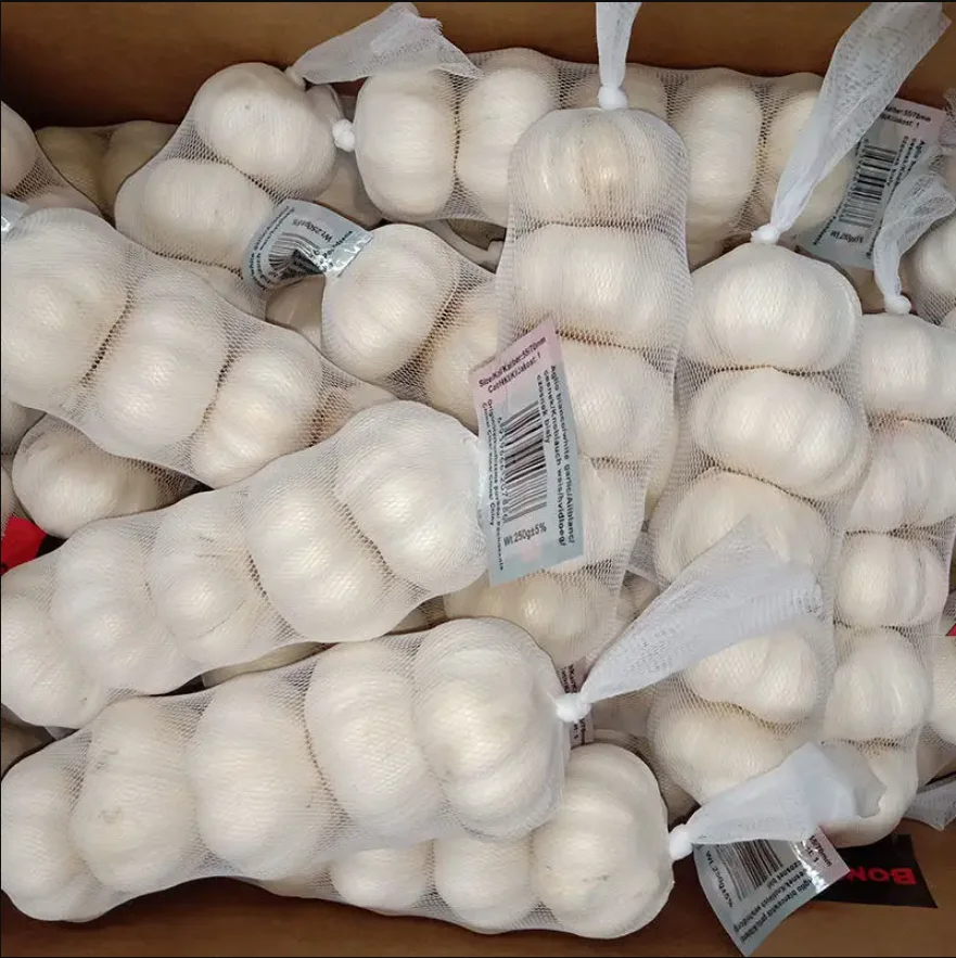 Fresh pure white garlic in  Wholesale price