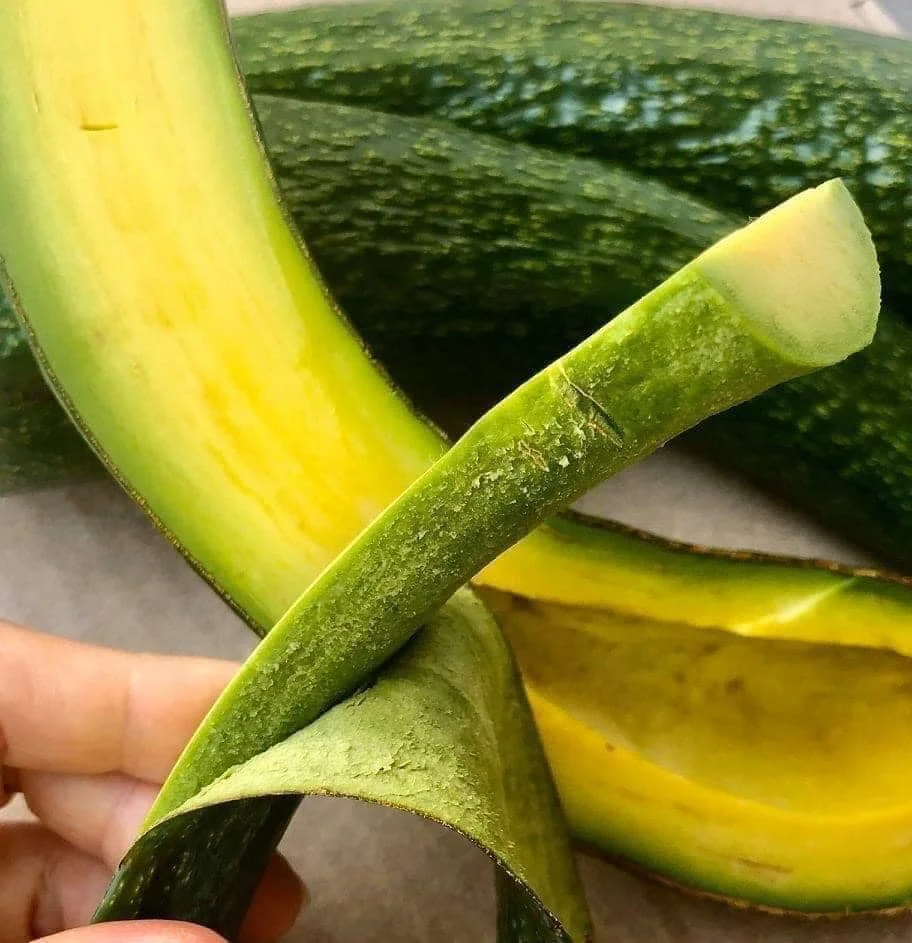 Good price frozen avocado ORGANIC FRESH AVOCADO FRUIT whole avocado fruit export