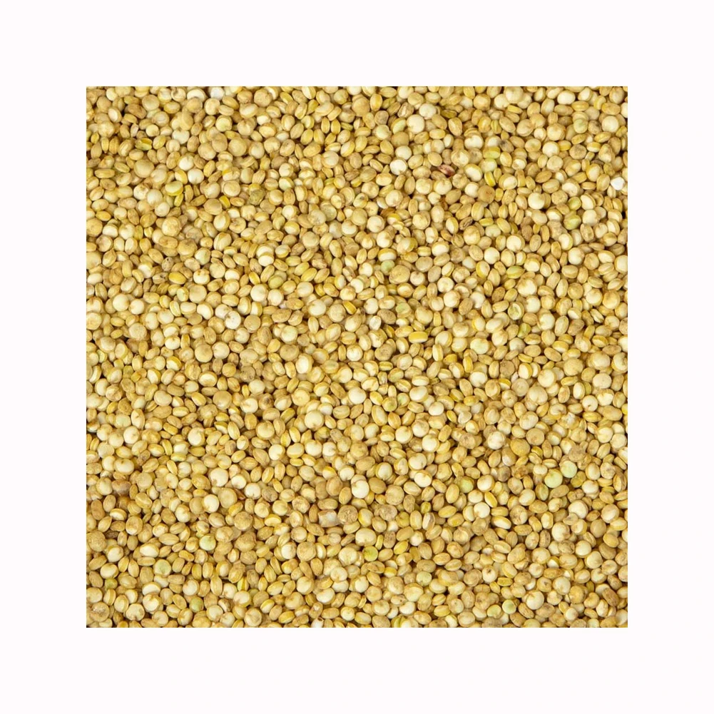 Best Factory Price of Natural Organic Seeds White Quinoa Grains Health care Grains Available In Large Quantity