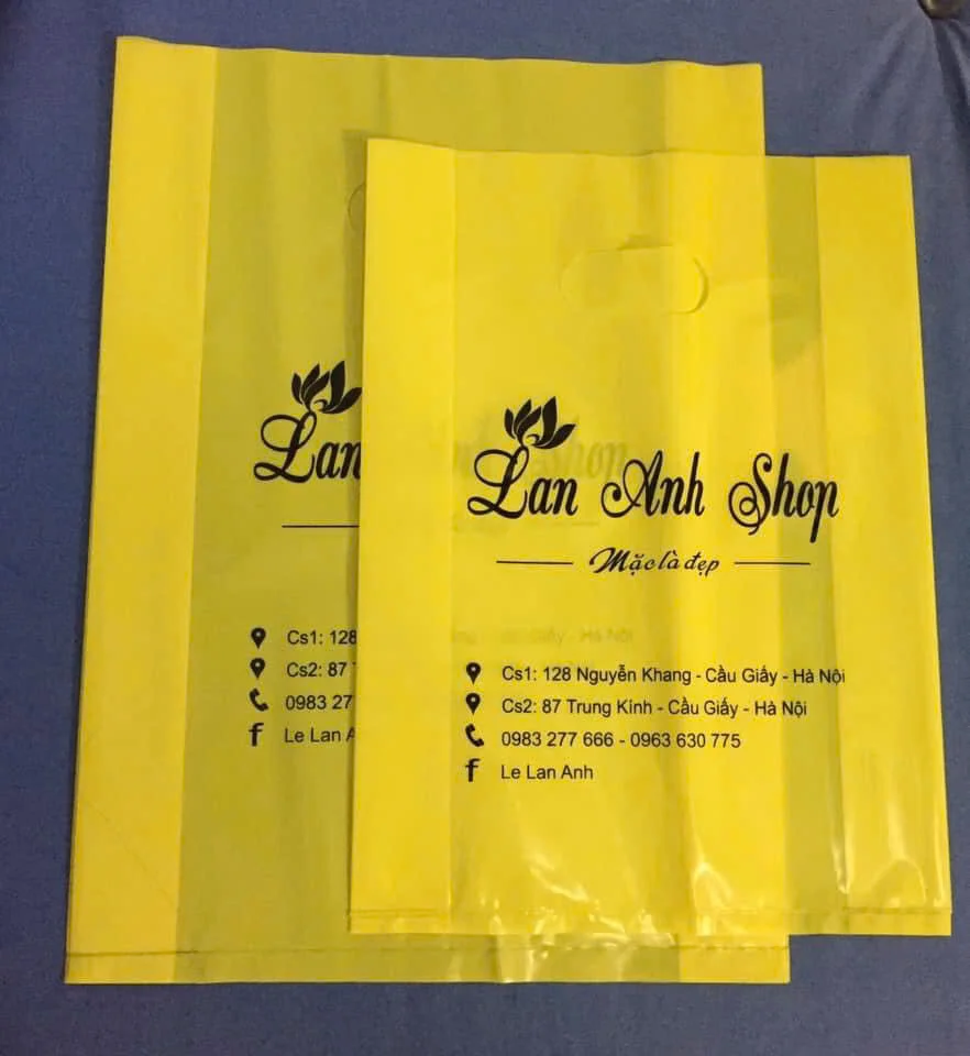 Most Popular Personalised PE Plastic Shopping Bags Trusted by Customers in Vietnam