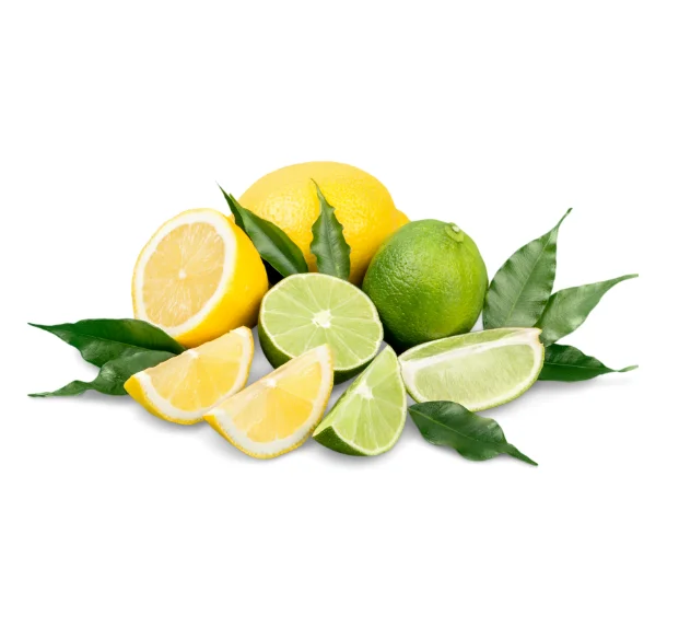 Best Quality Wholesale Factory Price Top Quality Fresh VIETNAMESE Green Lime/ Lemon wholesale cheapest price export USA,UK, EU