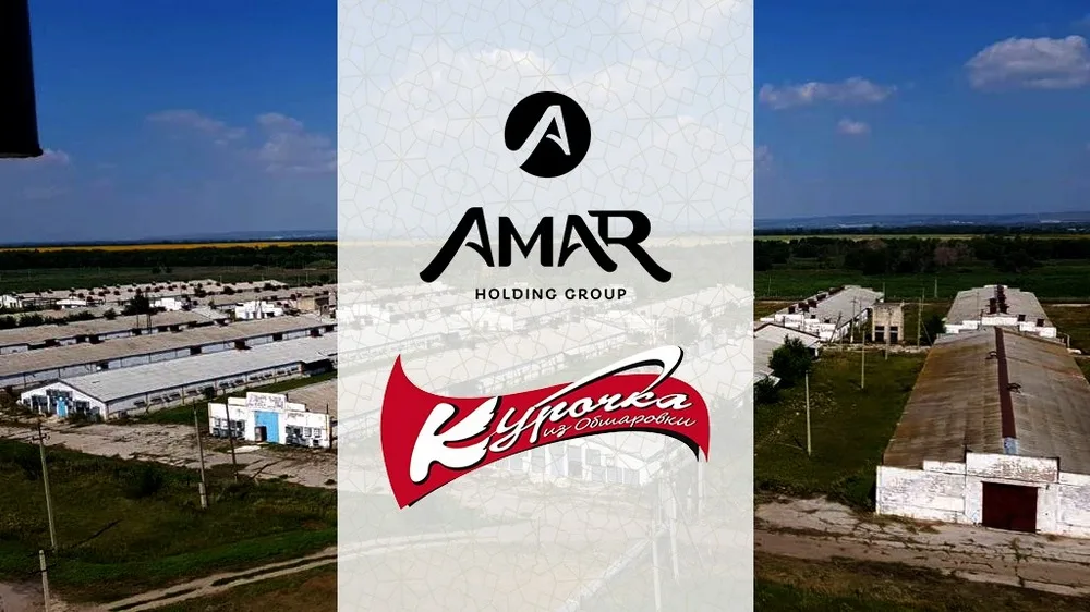 High quality frozen chicken feet and paws poultry protein quality cooking meat uncooked food