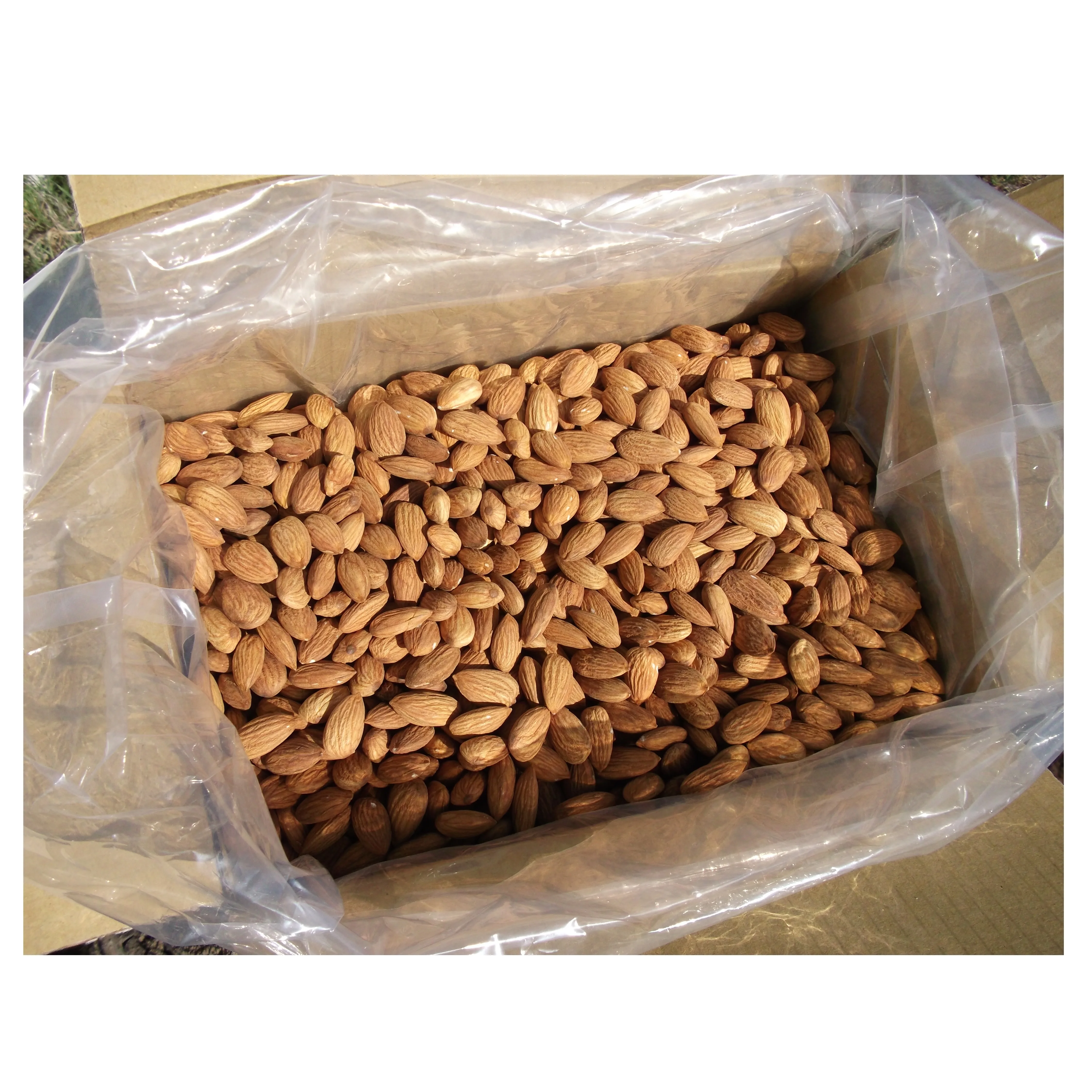 Top Quality Californian Almond in without Shelled For Sale worldwide