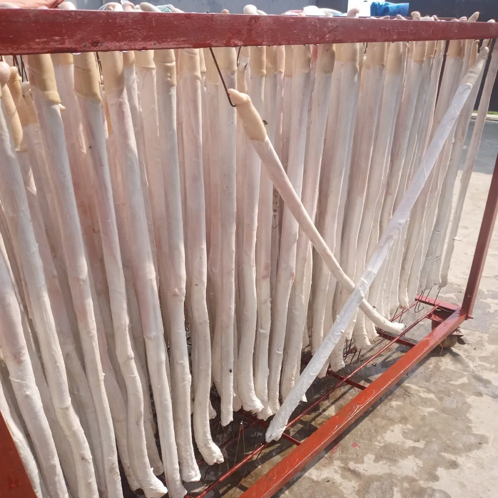 Beef Penis Best Quality Processing Super fresh Best quality Frozen Beef Pizzle  Bull Pizzle For Sale Cheap Price from Bangladesh