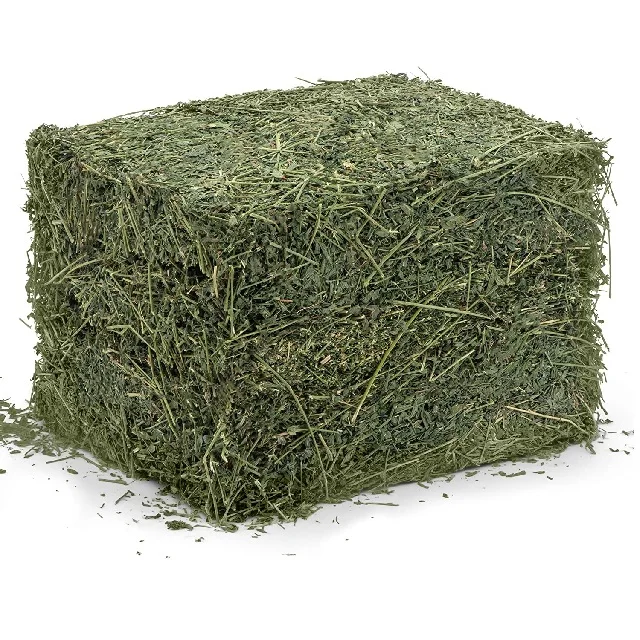 Alfalfa Hay Pellets For Animal Feed with Best Quality For Sale Bulk UK High Quality Pakistani Lush Green Moisture Controlled