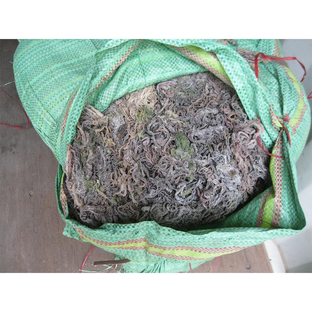 Wholesale Dried Gracilaria Seaweed - High Export Standard With Competitive Price Made In Vietnam
