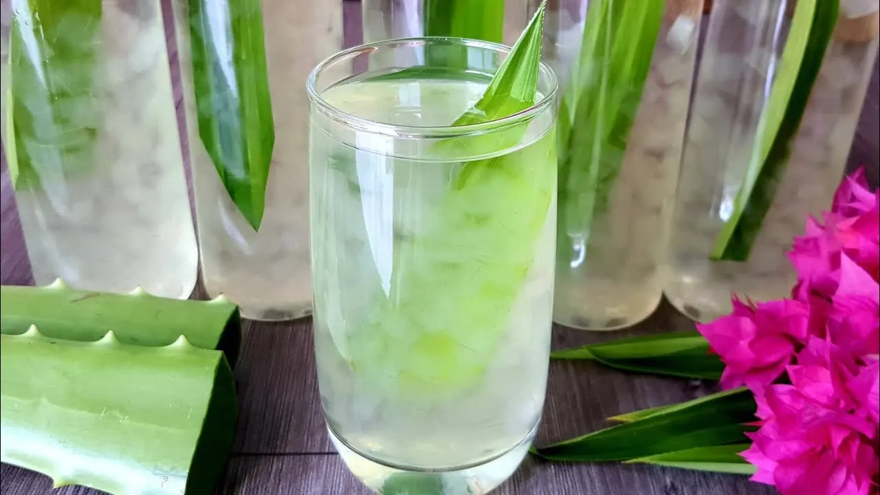 Вкусное Желе Алоэ Вера желе из мяса сделанное 100% свежего оптовая цена