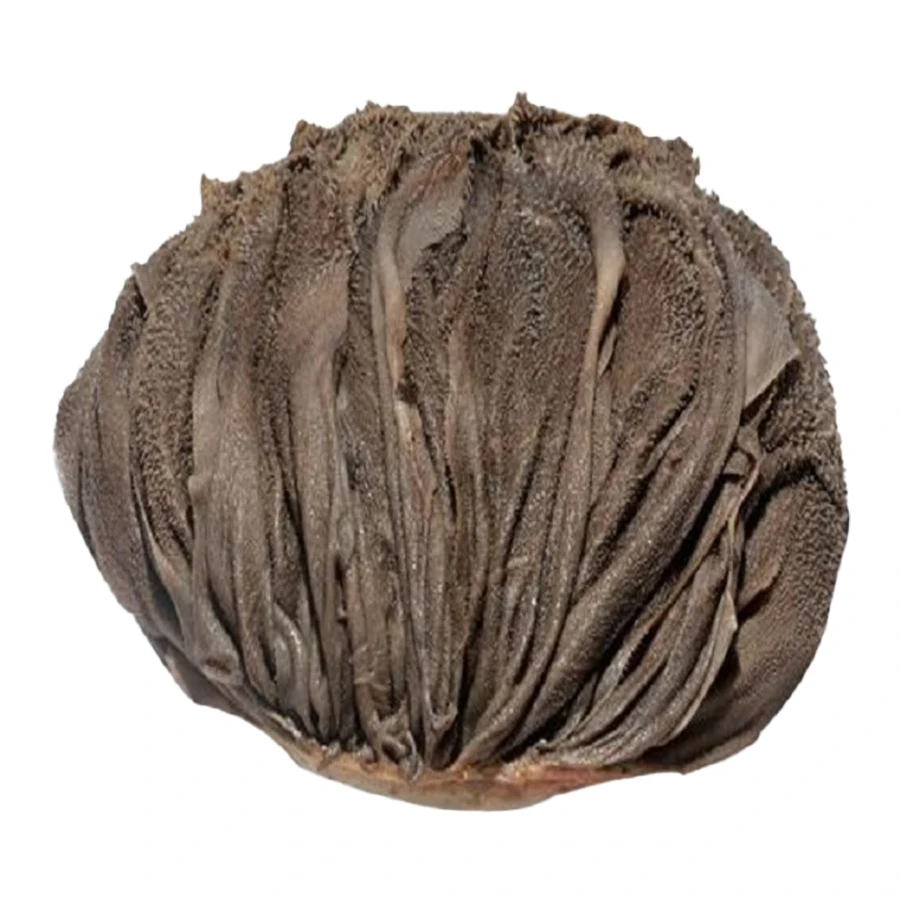 Frozen Salted Beef Omasum