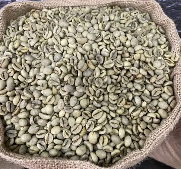 Export cheap Green Robusta/Arabica Coffee Beans for sale Cheap
