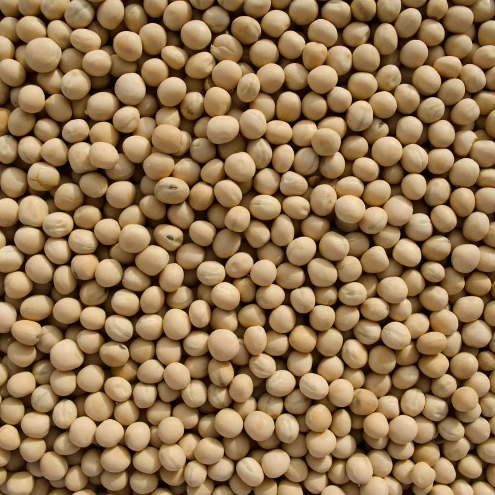 Whole-Yellow-Peas.jpg