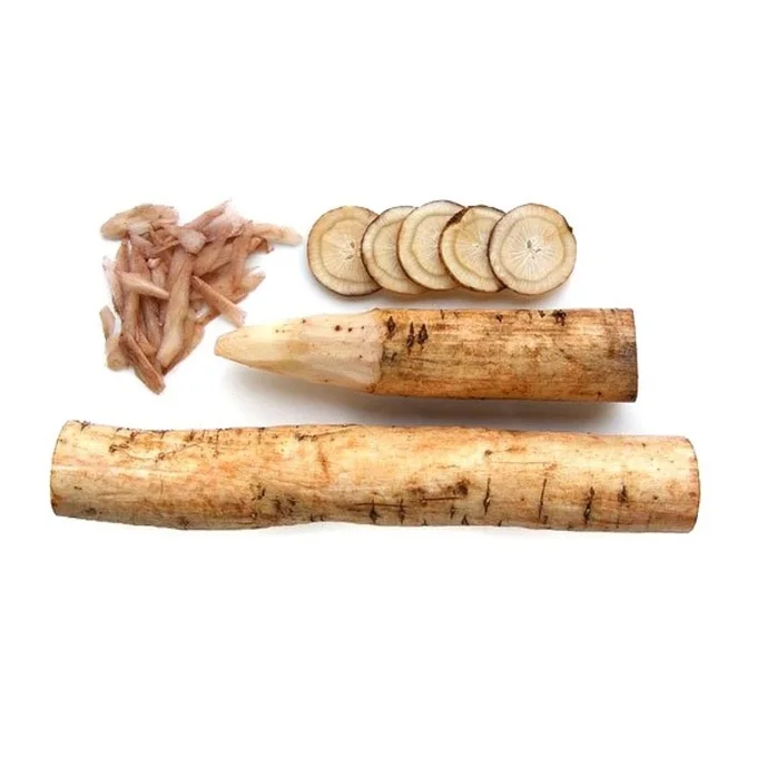 Лучшая заводская цена на натуральные свежие овощи Burdock доступно в большом количестве