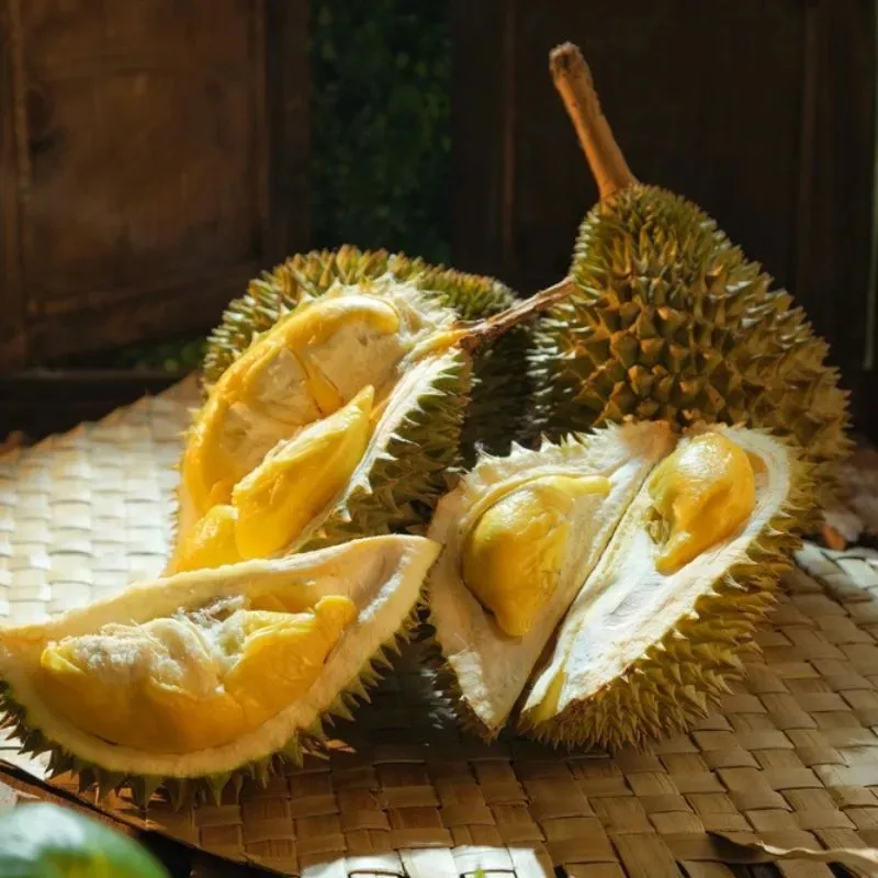 Вьетнамский свежий дуриан новый урожай Monthong Durian Ri6 Премиум качество Лучшая цена на экспорт
