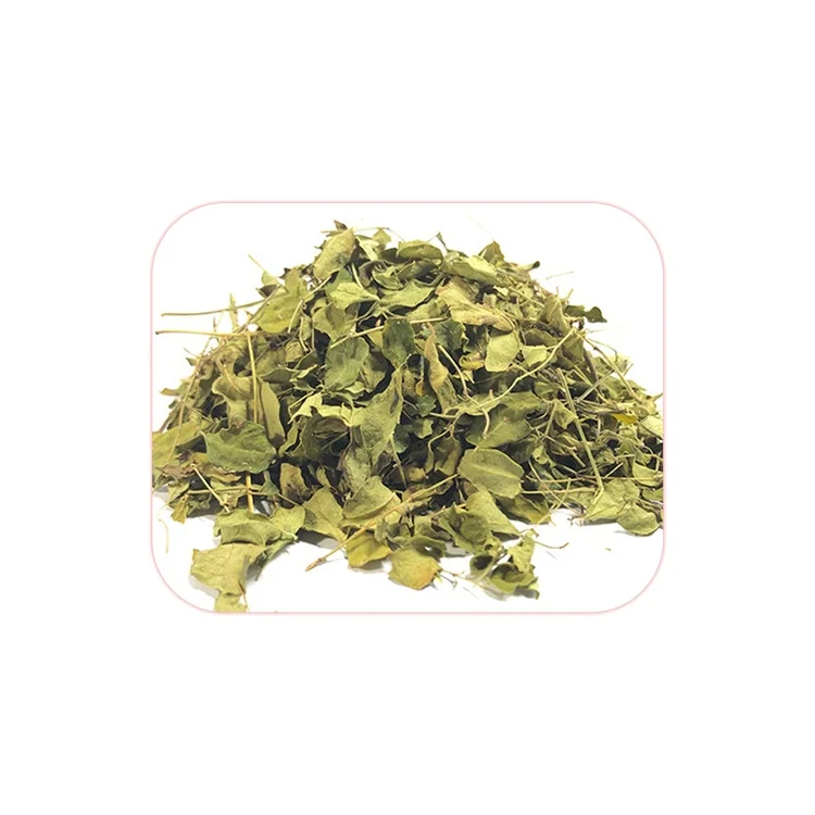 Bulk Price Top Notch Quality Highest Selling 100% Herbal Extract Organic Moringa Leaf Buy from Top Exporter