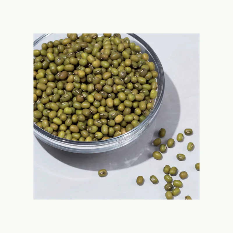 Bulk Quantity Wholesale Supplier Best Quality Green Mung Beans For Sale In Cheap Price